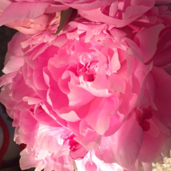 Meet your Posher, H - Picture 12 of 16